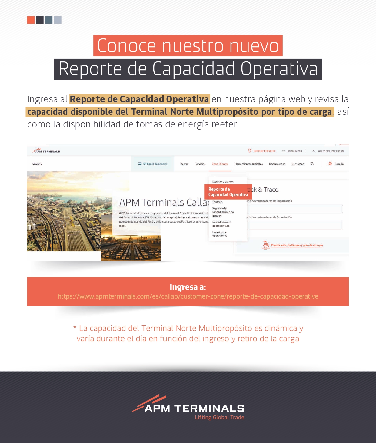 reporte-capacidad-operativa-page-0001