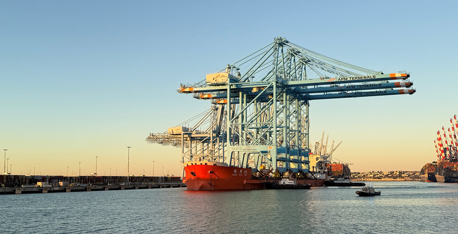 APM Terminals Los Angeles Pier 400 cranes