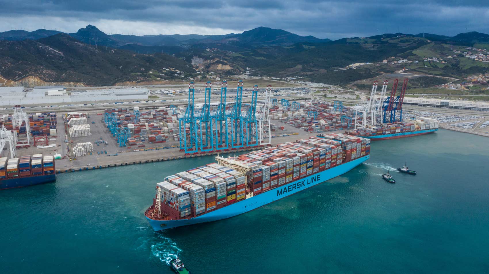 New Head of Global Operations appointed for APM Terminals APM