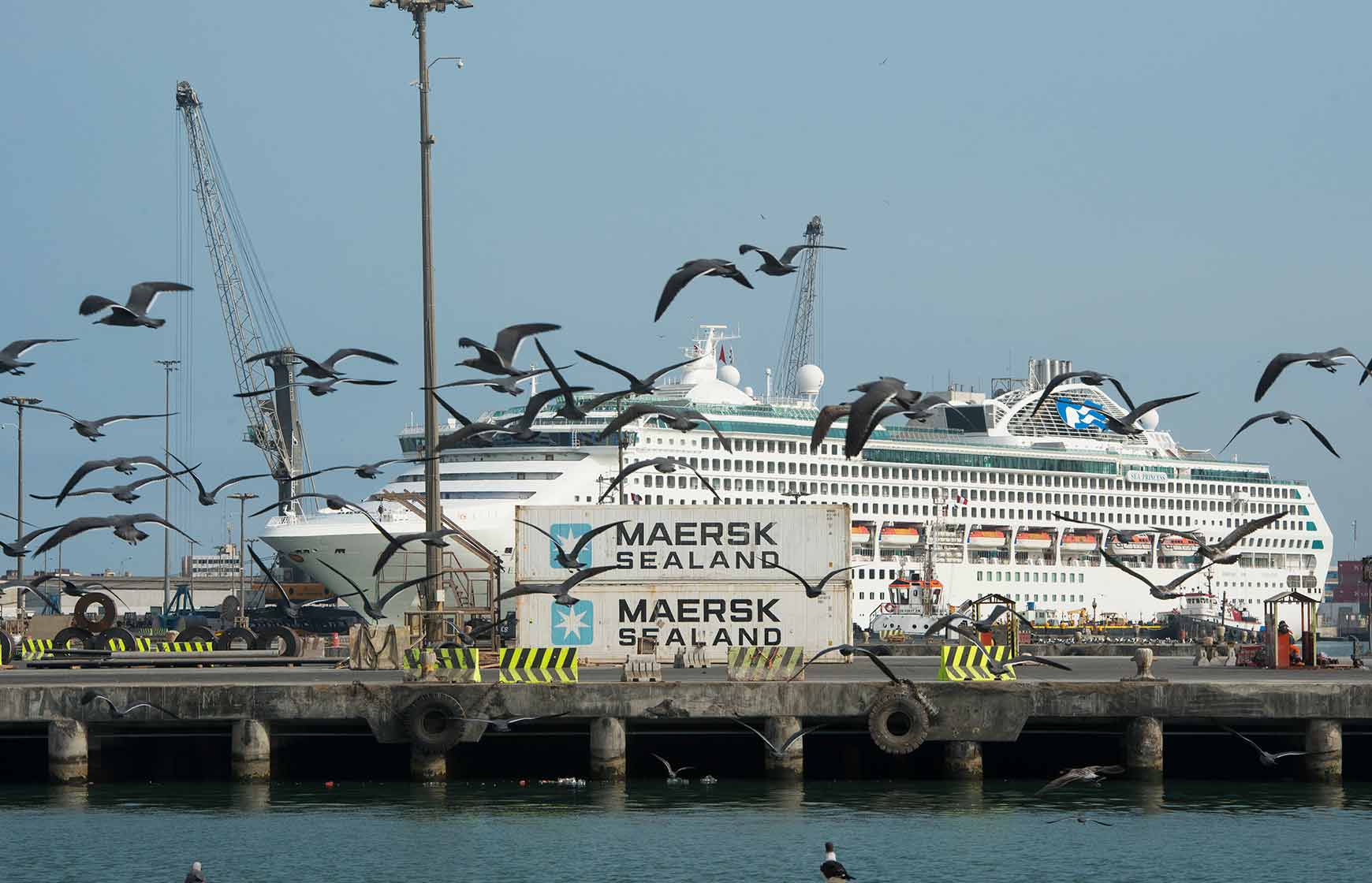 Pasajeros APM Terminals